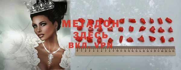 индика Тихвин