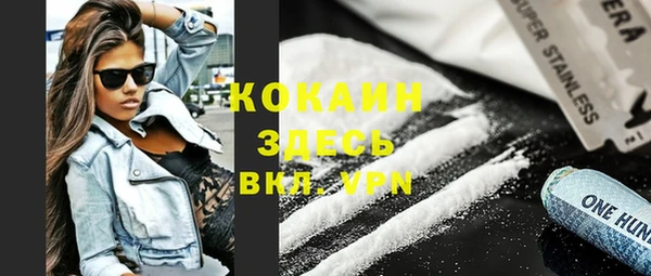 индика Тихвин