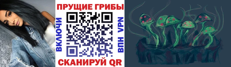 Галлюциногенные грибы GOLDEN TEACHER  Псков 